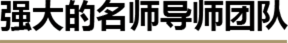 名师团队